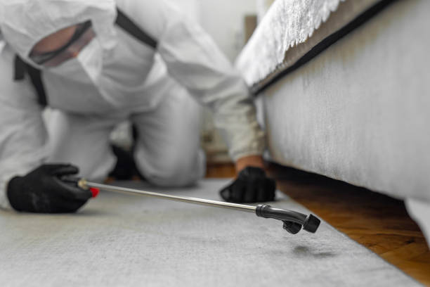 Professional Bed Bug Control technician working in Ballville, OH
