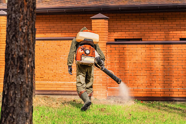 Trusted Ant Control service in Ballville, OH - Nex Pest Control